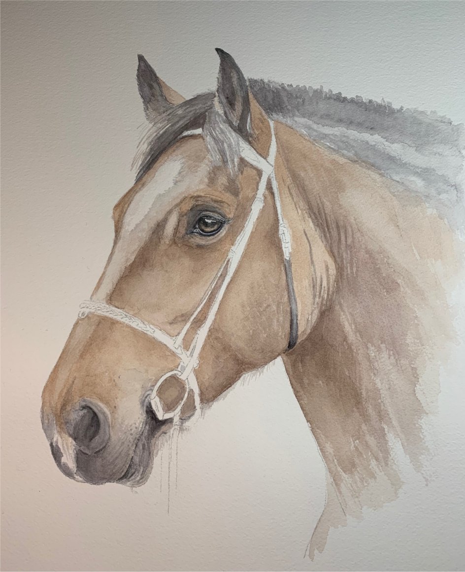 Horse Drawing Step by Step - Art Starts