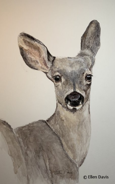 Painting Wildlife in Watercolor Painting Wildlife in Watercolor