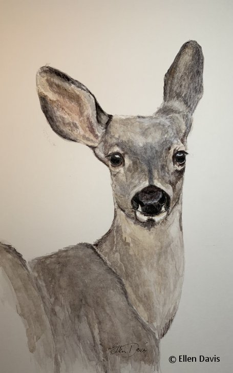 Painting Wildlife in Watercolor